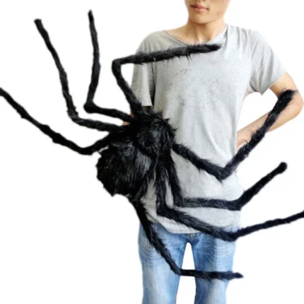 Large Black Spider